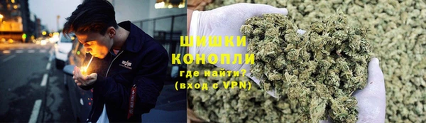 мдпв Бронницы